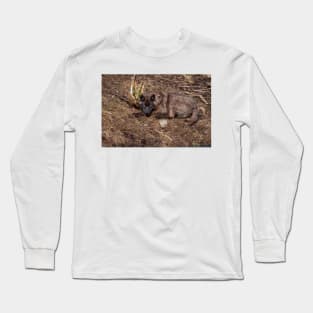 Black Wolf Long Sleeve T-Shirt